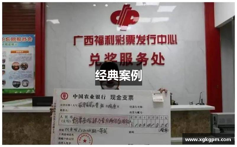 经典案例